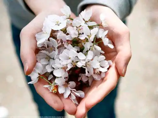 manos-flores-empatia_M